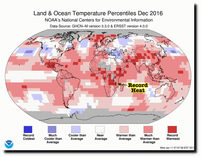 temp-fake.gif