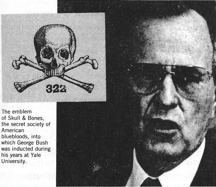 Bush / Skull & Bones